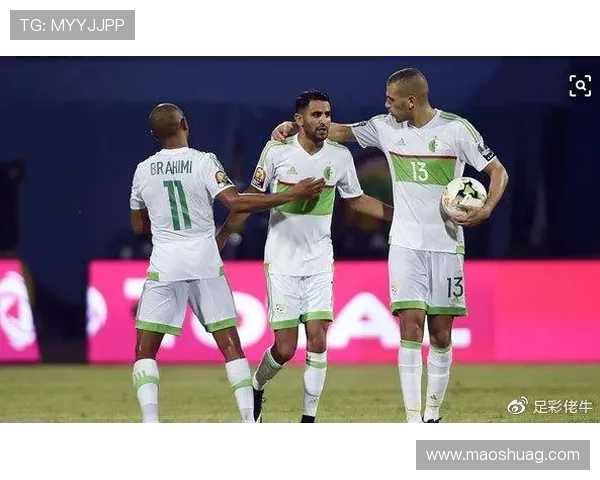 尼日利亚与阿尔及利亚比赛场地分析及影响因素探讨