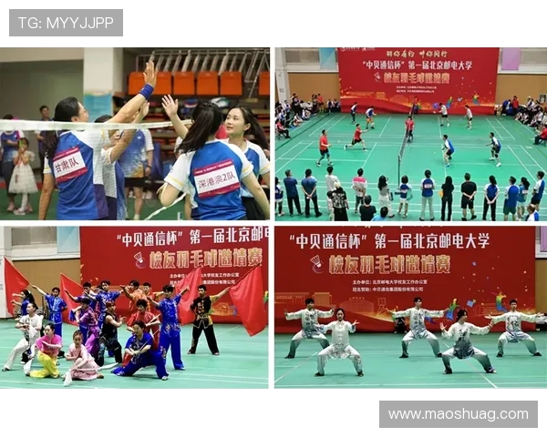 杭州羽毛球队在冠军赛中的战术表现分析与精彩瞬间回顾